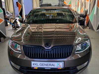 Установка заднего стекла Skoda Octavia A7 2013-2023